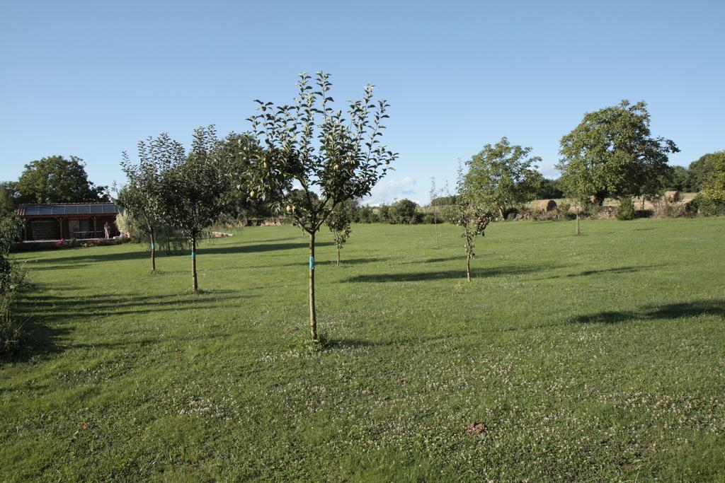 Gîtes de Lez Laguépie Extérieur photo